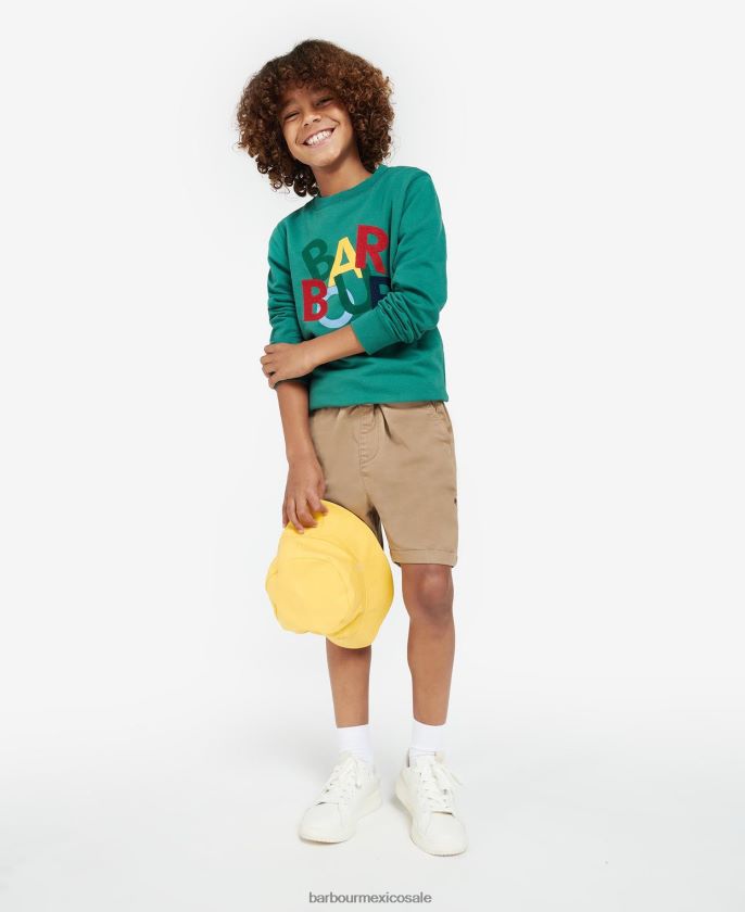 Barbour 8B6RFZ2512 ropa vid verde Niños sudadera dixon